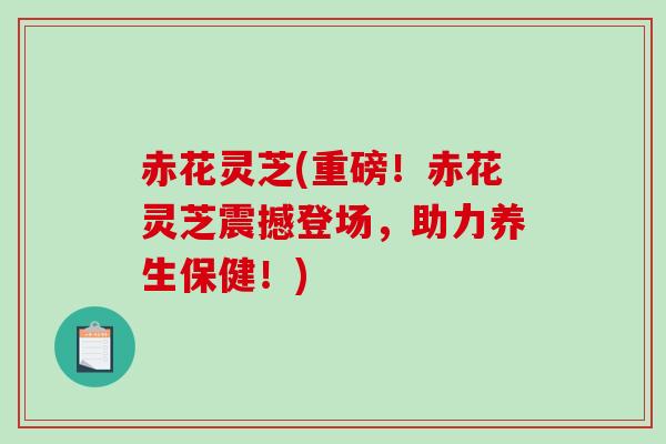赤花灵芝(重磅！赤花灵芝震撼登场，助力养生保健！)