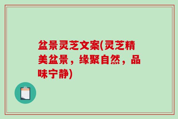 盆景灵芝文案(灵芝精美盆景，缘聚自然，品味宁静)
