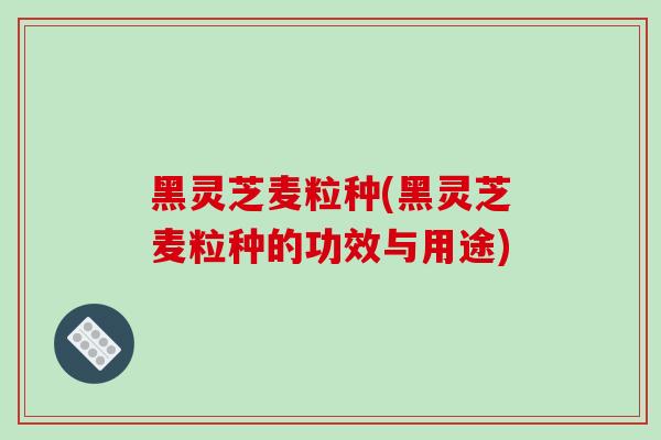 黑灵芝麦粒种(黑灵芝麦粒种的功效与用途)