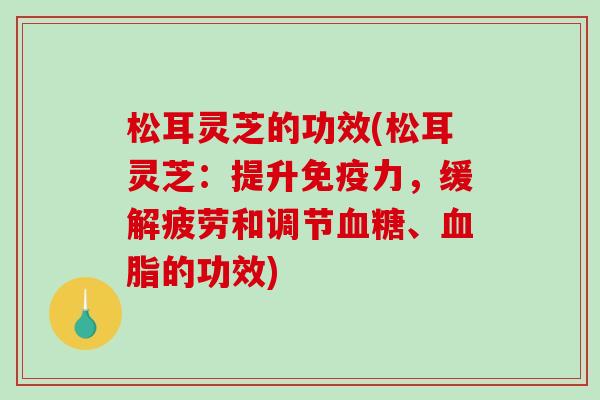 松耳灵芝的功效(松耳灵芝：提升免疫力，缓解疲劳和调节血糖、血脂的功效)