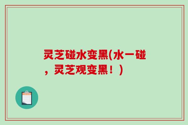 灵芝碰水变黑(水一碰，灵芝观变黑！)