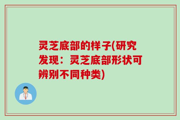 灵芝底部的样子(研究发现：灵芝底部形状可辨别不同种类)