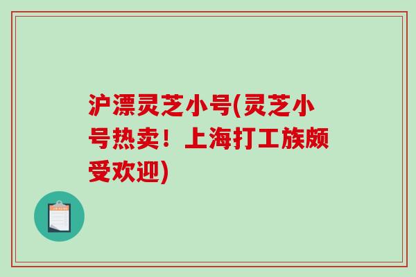 沪漂灵芝小号(灵芝小号热卖！上海打工族颇受欢迎)