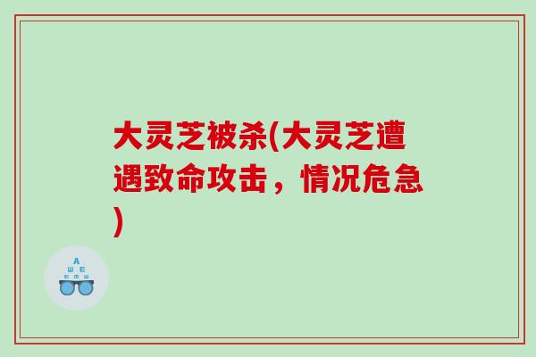 大灵芝被杀(大灵芝遭遇致命攻击，情况危急)