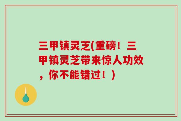 三甲镇灵芝(重磅！三甲镇灵芝带来惊人功效，你不能错过！)
