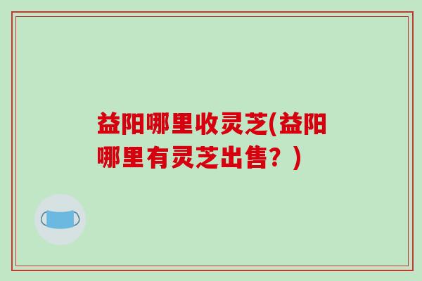 益阳哪里收灵芝(益阳哪里有灵芝出售？)