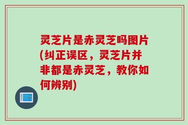 灵芝片是赤灵芝吗图片(纠正误区，灵芝片并非都是赤灵芝，教你如何辨别)