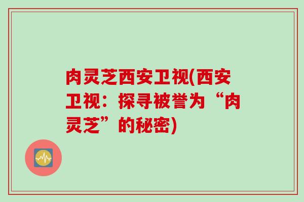 肉灵芝西安卫视(西安卫视：探寻被誉为“肉灵芝”的秘密)