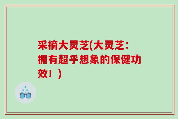 采摘大灵芝(大灵芝：拥有超乎想象的保健功效！)