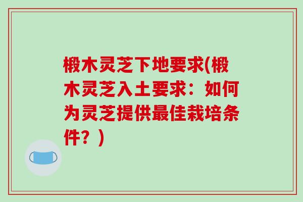 椴木灵芝下地要求(椴木灵芝入土要求：如何为灵芝提供最佳栽培条件？)