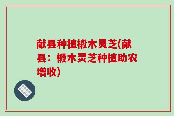献县种植椴木灵芝(献县：椴木灵芝种植助农增收)
