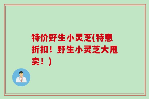 特价野生小灵芝(特惠折扣！野生小灵芝大甩卖！)