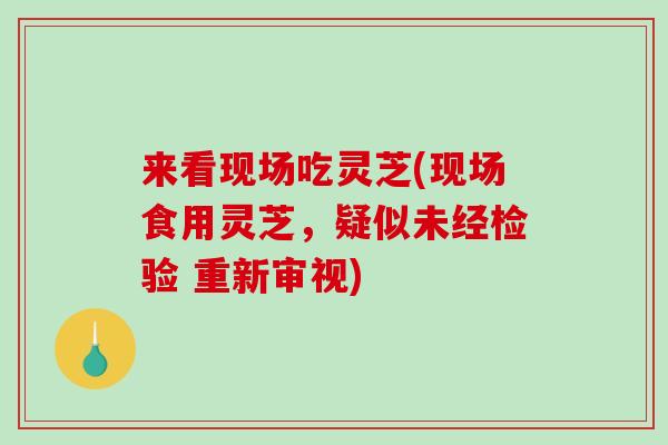 来看现场吃灵芝(现场食用灵芝，疑似未经检验 重新审视)