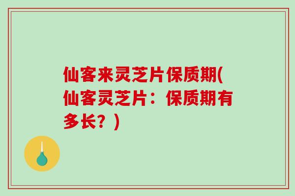 仙客来灵芝片保质期(仙客灵芝片：保质期有多长？)