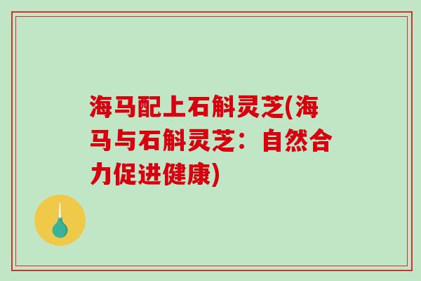 海马配上石斛灵芝(海马与石斛灵芝：自然合力促进健康)