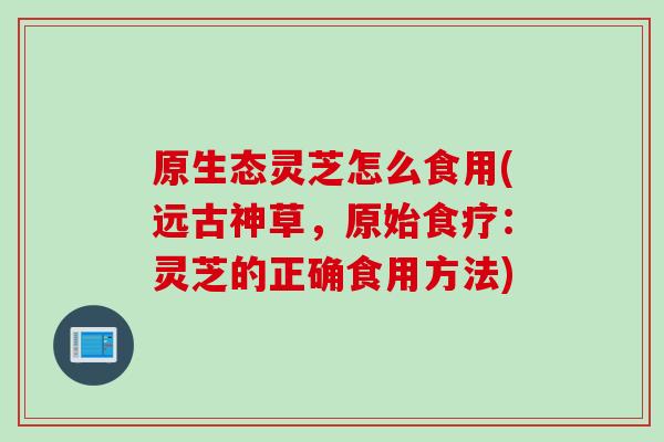 原生态灵芝怎么食用(远古神草，原始食疗：灵芝的正确食用方法)