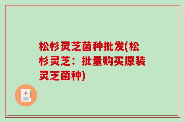 松杉灵芝菌种批发(松杉灵芝：批量购买原装灵芝菌种)