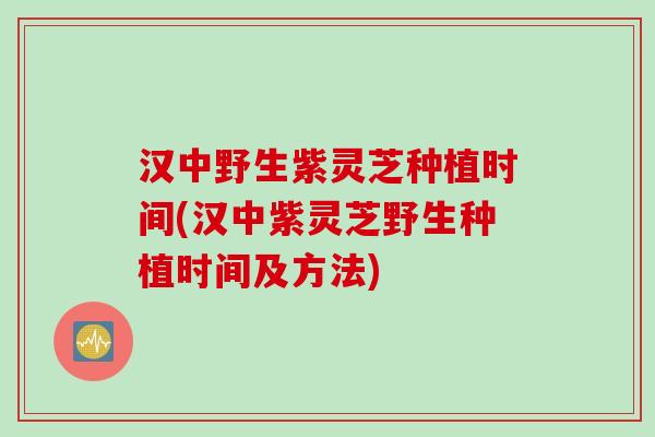 汉中野生紫灵芝种植时间(汉中紫灵芝野生种植时间及方法)