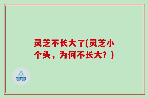 灵芝不长大了(灵芝小个头，为何不长大？)