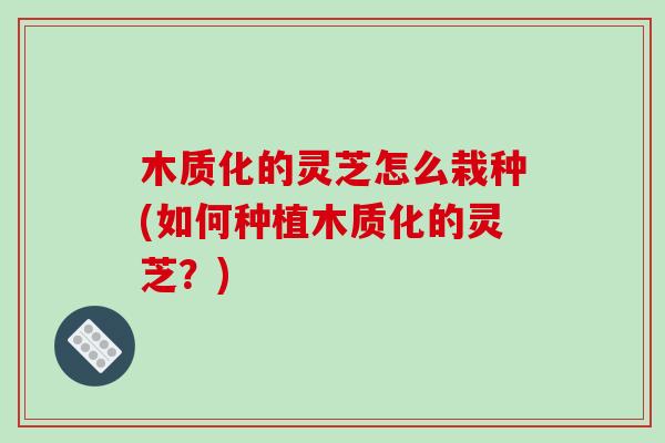 木质化的灵芝怎么栽种(如何种植木质化的灵芝？)