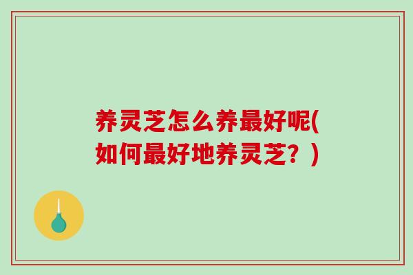 养灵芝怎么养最好呢(如何最好地养灵芝？)