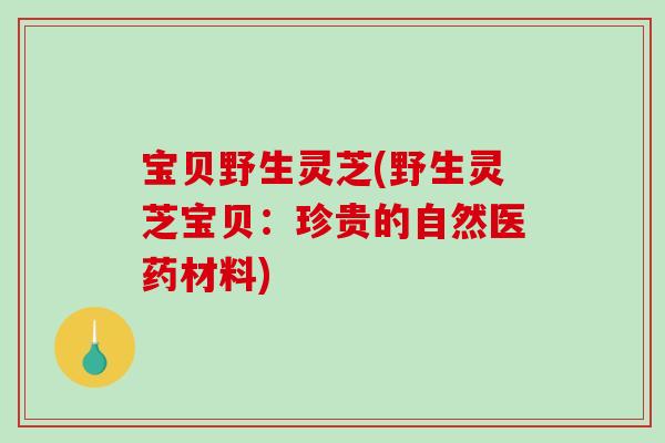 宝贝野生灵芝(野生灵芝宝贝：珍贵的自然医药材料)