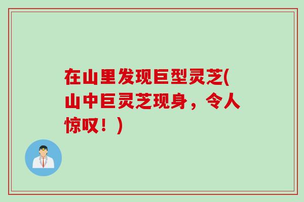 在山里发现巨型灵芝(山中巨灵芝现身，令人惊叹！)
