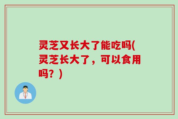 灵芝又长大了能吃吗(灵芝长大了，可以食用吗？)
