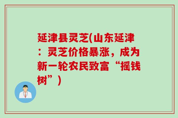 延津县灵芝(山东延津:灵芝价格暴涨,成为新一轮农民致富“摇钱树”) 延津县灵芝(山东延津:灵芝价格暴涨,成为新一轮农民致富“摇钱树”)