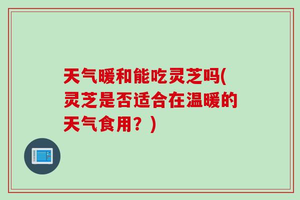 天气暖和能吃灵芝吗(灵芝是否适合在温暖的天气食用？)