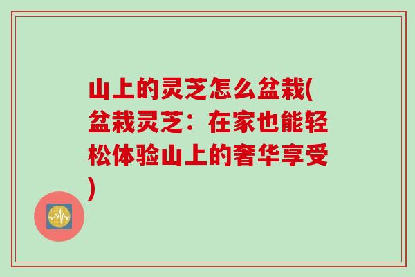 山上的灵芝怎么盆栽(盆栽灵芝：在家也能轻松体验山上的奢华享受)