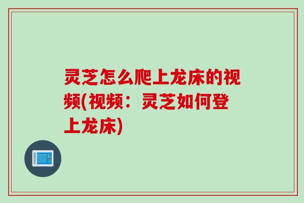 灵芝怎么爬上龙床的视频(视频：灵芝如何登上龙床)