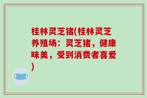 桂林灵芝猪(桂林灵芝养殖场：灵芝猪，健康味美，受到消费者喜爱)