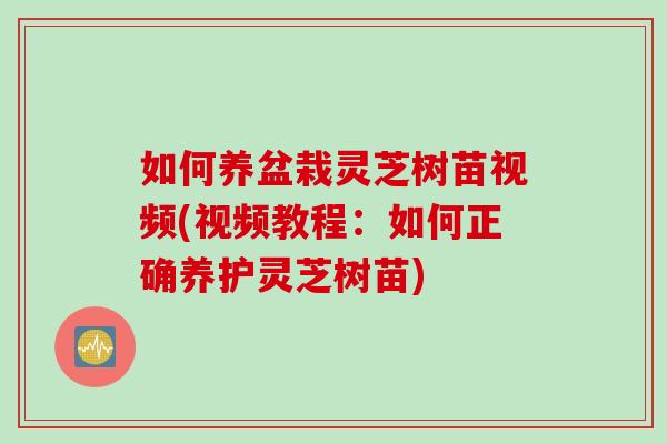 如何养盆栽灵芝树苗视频(视频教程：如何正确养护灵芝树苗)