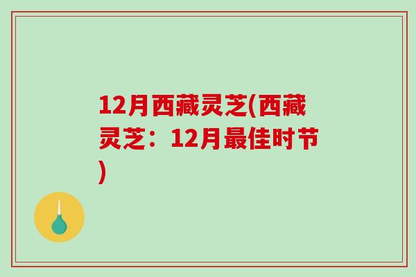 12月西藏灵芝(西藏灵芝：12月最佳时节)