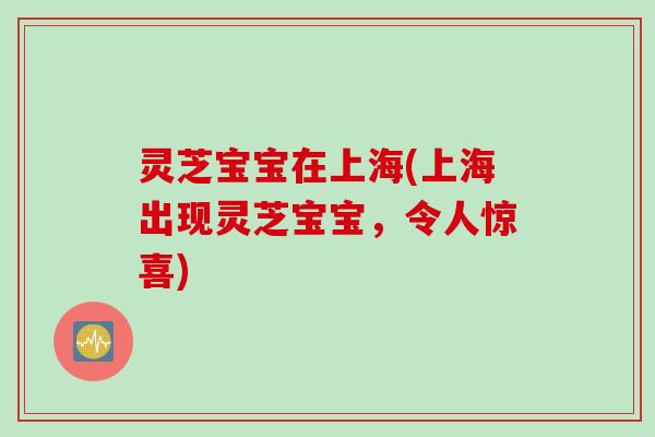 灵芝宝宝在上海(上海出现灵芝宝宝，令人惊喜)