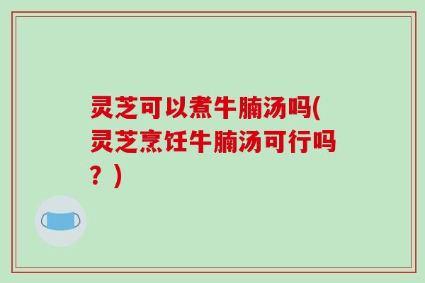 灵芝可以煮牛腩汤吗(灵芝烹饪牛腩汤可行吗？)