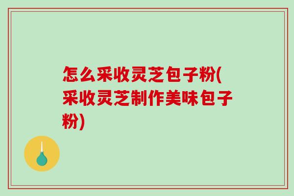怎么采收灵芝包子粉(采收灵芝制作美味包子粉)