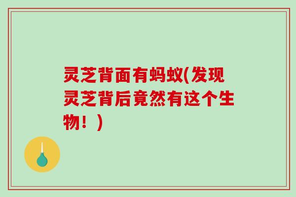 灵芝背面有蚂蚁(发现灵芝背后竟然有这个生物！)
