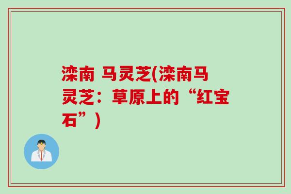 滦南 马灵芝(滦南马灵芝：草原上的“红宝石”)