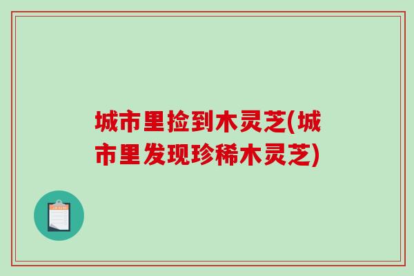 城市里捡到木灵芝(城市里发现珍稀木灵芝)
