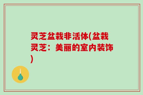 灵芝盆栽非活体(盆栽灵芝：美丽的室内装饰)