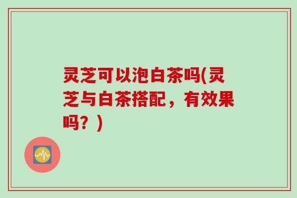 灵芝可以泡白茶吗(灵芝与白茶搭配，有效果吗？)