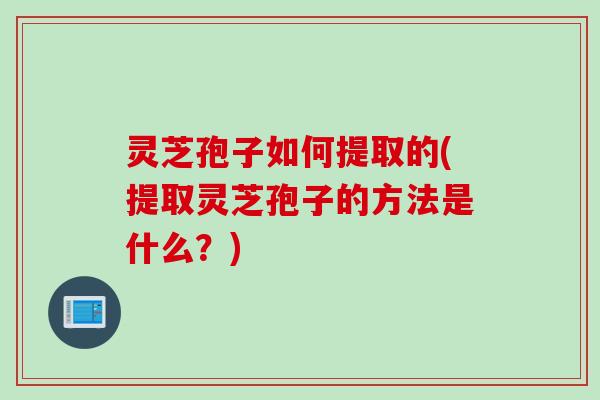 灵芝孢子如何提取的(提取灵芝孢子的方法是什么？)