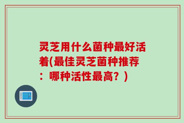 灵芝用什么菌种最好活着(最佳灵芝菌种推荐：哪种活性最高？)