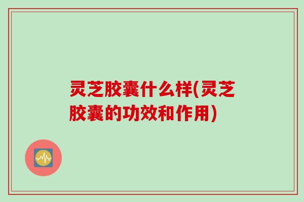 灵芝胶囊什么样(灵芝胶囊的功效和作用)
