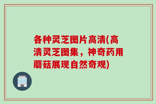 各种灵芝图片高清(高清灵芝图集，神奇药用蘑菇展现自然奇观)