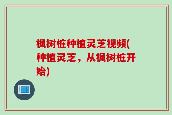 枫树桩种植灵芝视频(种植灵芝，从枫树桩开始)