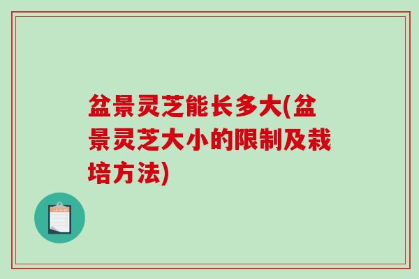 盆景灵芝能长多大(盆景灵芝大小的限制及栽培方法)