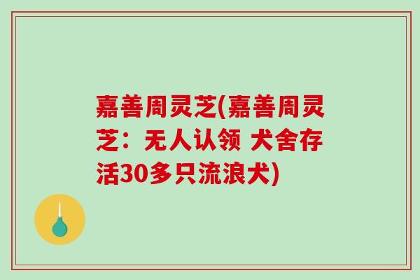嘉善周灵芝(嘉善周灵芝：无人认领 犬舍存活30多只流浪犬)